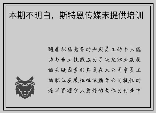 本期不明白，斯特恩传媒未提供培训